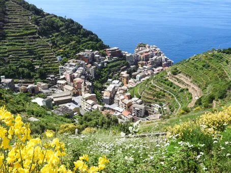 Manarola