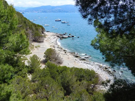 Pozzale