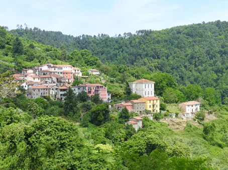 Campiglia