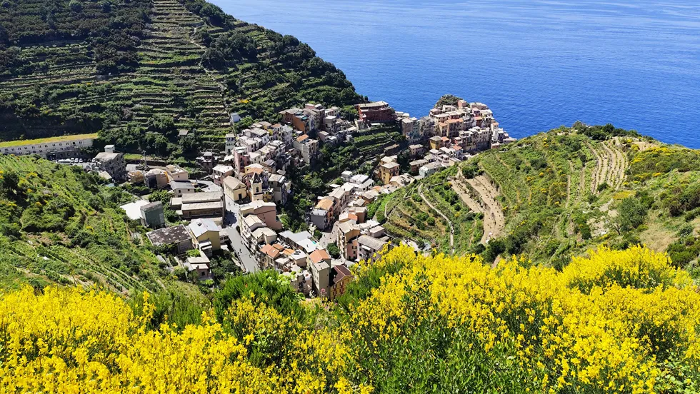 Manarola